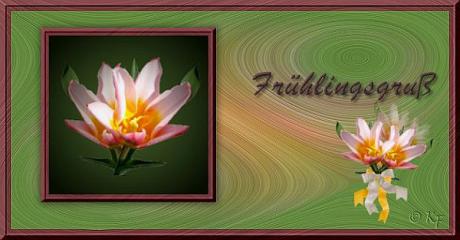 Upload: 17.03.2017