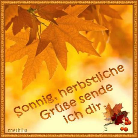 Upload: 06.10.2018