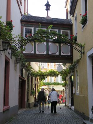 IMG_1532.JPG