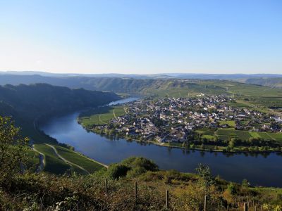 IMG_1534.JPG