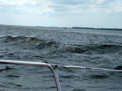 IMG_4265.JPG