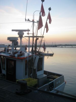 IMG_4282.JPG