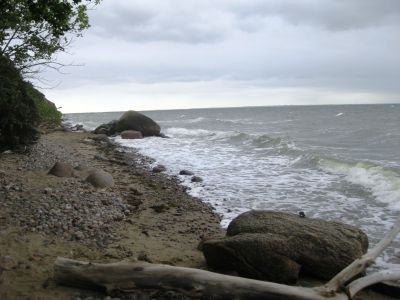 IMG_4312.JPG