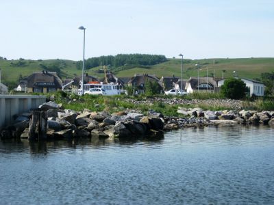 IMG_4347.JPG
