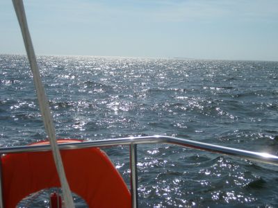 IMG_4353.JPG