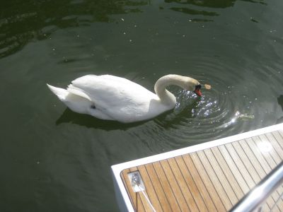 IMG_4379.JPG