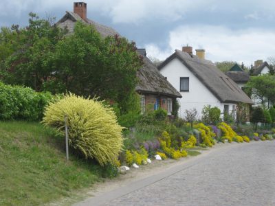 IMG_6611.JPG