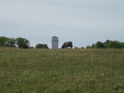 IMG_6677.JPG