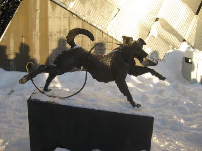 IMG_7661.JPG