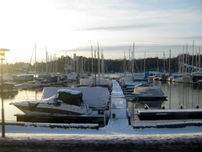 IMG_7736.JPG