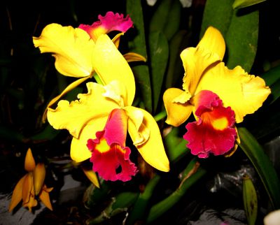 IMG_7989.JPG
