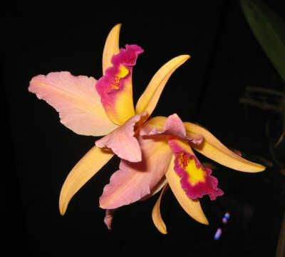 IMG_8080.JPG