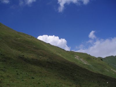 P8120015-1.jpg