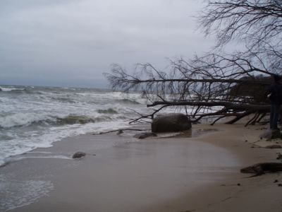 PC120111-1.jpg
