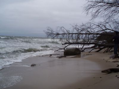 PC120111.JPG