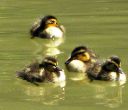 IMG_0102-1.jpg