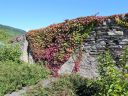 IMG_1486.JPG