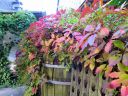 Filename=IMG_1590.JPG
Filesize=657KiB
Dimensions=2048x1536
Date added=Dec 28, 2016 IMG_1590.JPG