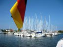 IMG_4176.JPG