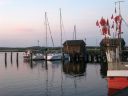 IMG_4281.JPG