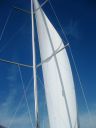 Filename=IMG_4350.JPG
Filesize=262KiB
Dimensions=1536x2048
Date added=Dec 10, 2016 IMG_4350.JPG