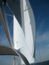 Filename=IMG_4351.JPG
Filesize=212KiB
Dimensions=1536x2048
Date added=Dec 10, 2016 IMG_4351.JPG