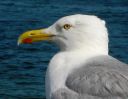 IMG_4915-1.jpg