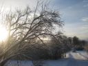 Filename=IMG_7676.JPG
Filesize=1215KiB
Dimensions=2048x1536
Date added=Dec 13, 2016 IMG_7676.JPG