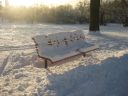 Filename=IMG_7678.JPG
Filesize=1008KiB
Dimensions=2048x1536
Date added=Dec 13, 2016 IMG_7678.JPG