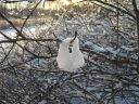 Filename=IMG_7688.JPG
Filesize=939KiB
Dimensions=2048x1536
Date added=Dec 13, 2016 IMG_7688.JPG