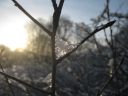 Filename=IMG_7689.JPG
Filesize=551KiB
Dimensions=2048x1536
Date added=Dec 13, 2016 IMG_7689.JPG