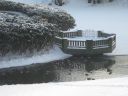 Filename=IMG_7701.JPG
Filesize=894KiB
Dimensions=2048x1536
Date added=Dec 13, 2016 IMG_7701.JPG