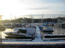 Filename=IMG_7736.JPG
Filesize=568KiB
Dimensions=2048x1536
Date added=Dec 13, 2016 IMG_7736.JPG